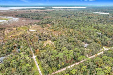 Land in Sanford, Florida № 1512595 - photo 7