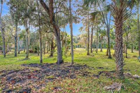 Land in Sanford, Florida № 1512595 - photo 24