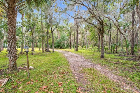 Land in Sanford, Florida № 1512595 - photo 11