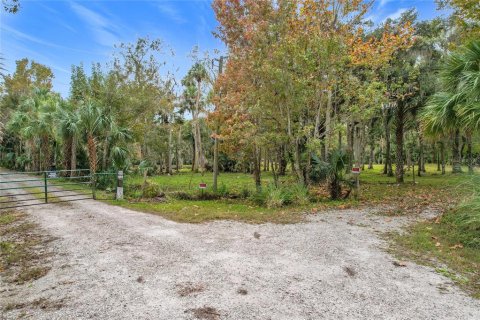 Land in Sanford, Florida № 1512595 - photo 8