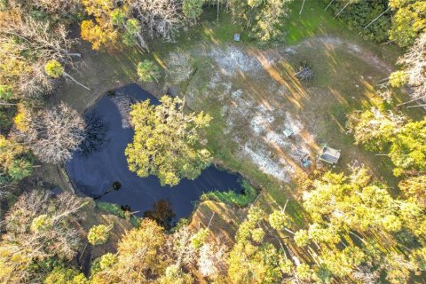 Land in Sanford, Florida № 1512595 - photo 1