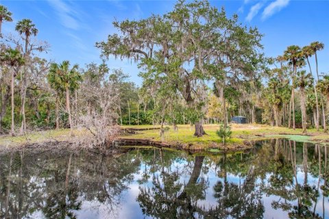 Land in Sanford, Florida № 1512595 - photo 19