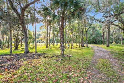 Land in Sanford, Florida № 1512595 - photo 23