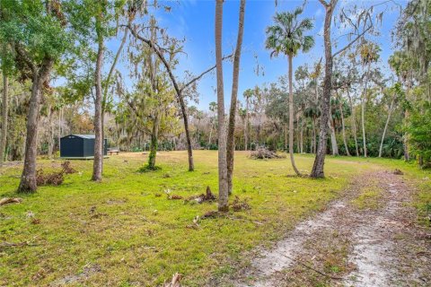 Land in Sanford, Florida № 1512595 - photo 12