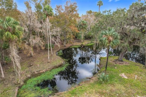 Land in Sanford, Florida № 1512595 - photo 22