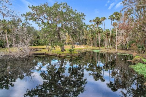 Land in Sanford, Florida № 1512595 - photo 18