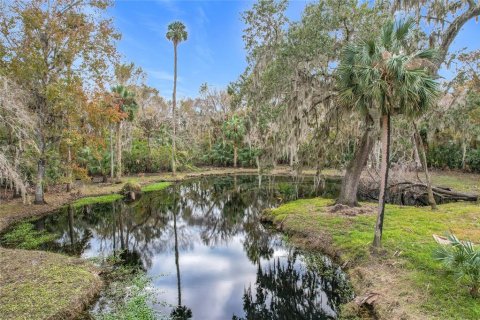 Land in Sanford, Florida № 1512595 - photo 15