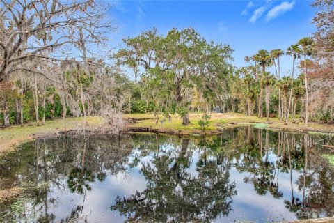 Land in Sanford, Florida № 1512595 - photo 17