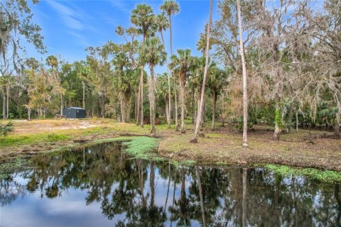 Land in Sanford, Florida № 1512595 - photo 21