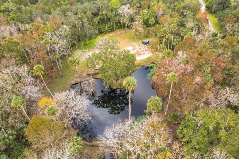 Land in Sanford, Florida № 1512595 - photo 3