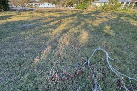 Land in Saint Petersburg, Florida № 1521952 - photo 3