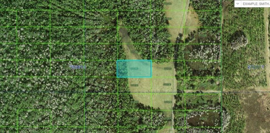 Terreno en Polk City, Florida № 2235005
