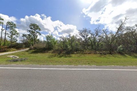 Terreno en venta en Polk City, Florida № 2235005 - foto 2