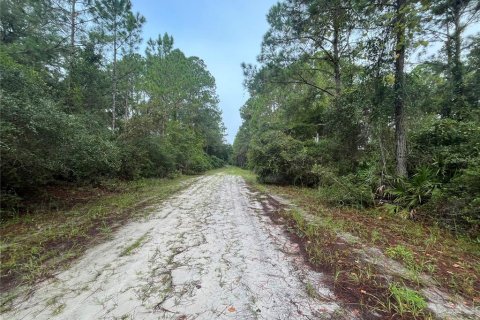 Land in Georgetown, Florida № 2165094 - photo 6