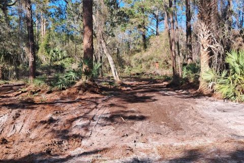 Land in Georgetown, Florida № 2165094