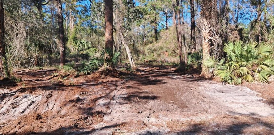 Land in Georgetown, Florida № 2165094