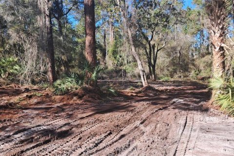 Land in Georgetown, Florida № 2165094 - photo 2