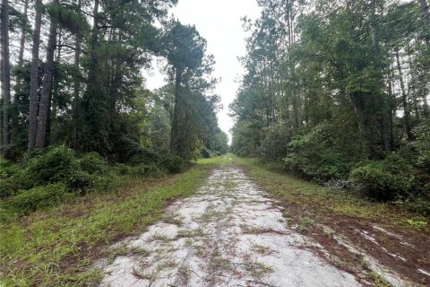 Land in Georgetown, Florida № 2165094 - photo 5