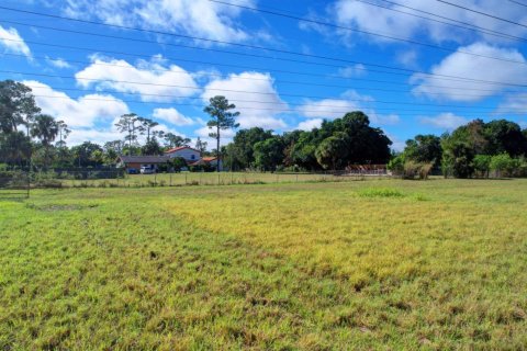 Land in Wellington, Florida № 848159 - photo 1