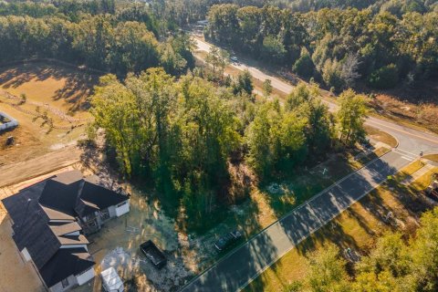Terreno en venta en Newberry, Florida № 1534492 - foto 4