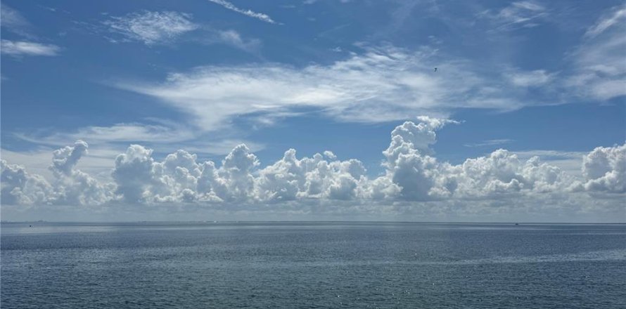 Townhouse in Saint Petersburg, Florida 2 bedrooms, 94.95 sq.m. № 1846558