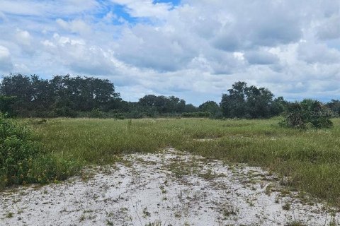 Land in Avon Park, Florida № 1918443 - photo 2