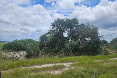 Land in Avon Park, Florida № 1918443 - photo 4