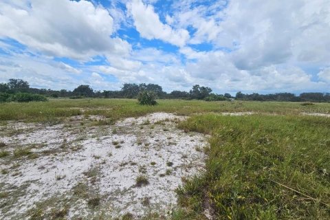 Land in Avon Park, Florida № 1918443 - photo 3