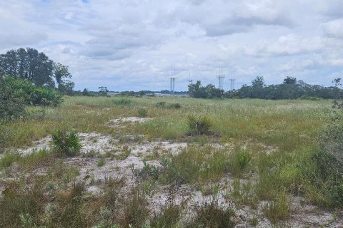 Land in Avon Park, Florida № 1918443 - photo 1