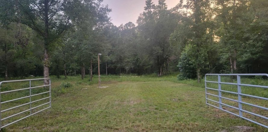 Terreno en Hastings, Florida № 832138
