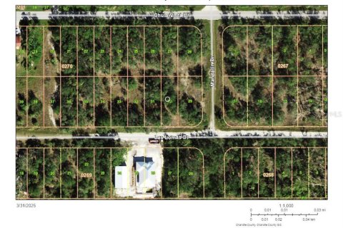 Land in Punta Gorda, Florida № 2165312 - photo 2