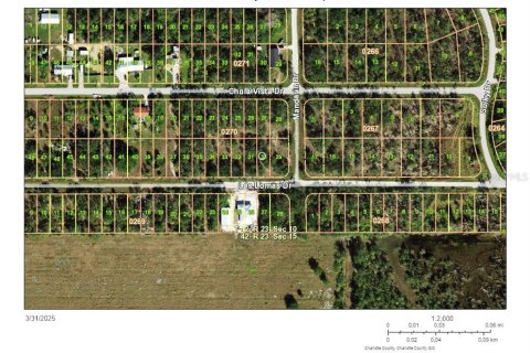 Land in Punta Gorda, Florida № 2165312 - photo 3