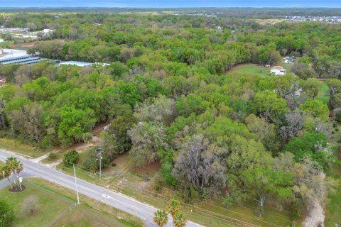 Terrain à vendre à Belleview, Floride № 2148539 - photo 4