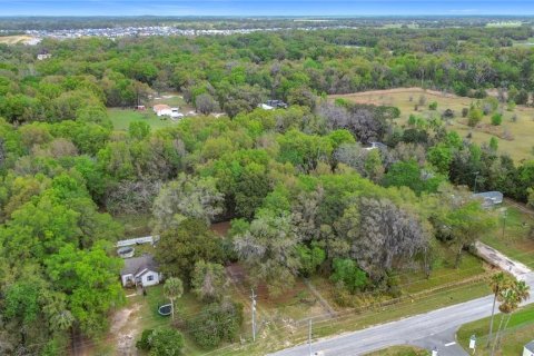 Terrain à vendre à Belleview, Floride № 2148539 - photo 6