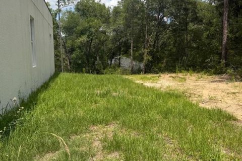 Apartamento en alquiler en Citrus Springs, Florida, 3 dormitorios, 125.42 m2 № 2198638 - foto 27