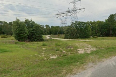 Land in Ocala, Florida № 1831702 - photo 2