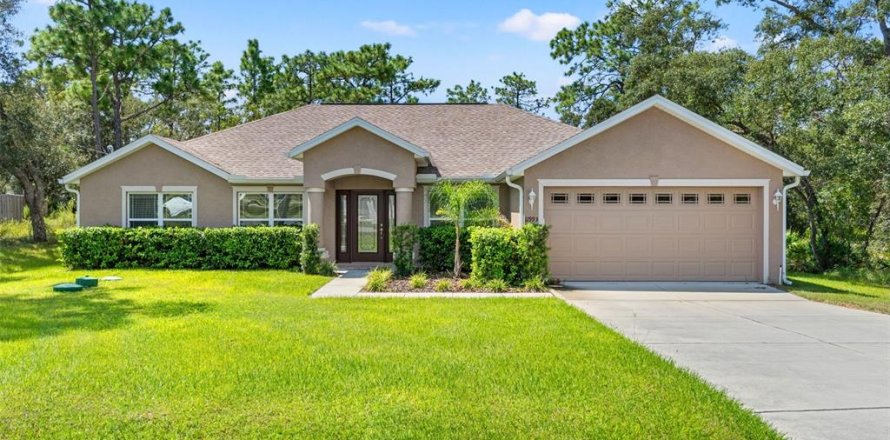 Villa ou maison à Weeki Wachee, Floride 3 chambres, 181.62 m2 № 1905130