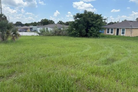Land in Haines City, Florida № 1873267 - photo 3