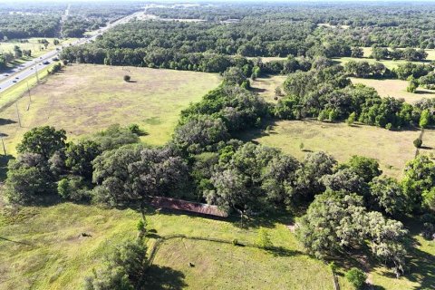 Terreno en venta en Ocala, Florida № 2329640 - foto 7