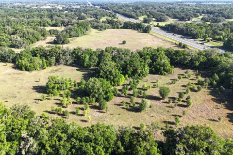 Terreno en venta en Ocala, Florida № 2329640 - foto 9