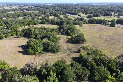 Terreno en venta en Ocala, Florida № 2329640 - foto 16