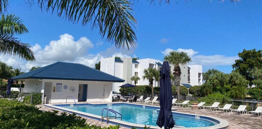 Condo à Jupiter, Floride, 1 chambre № 968307