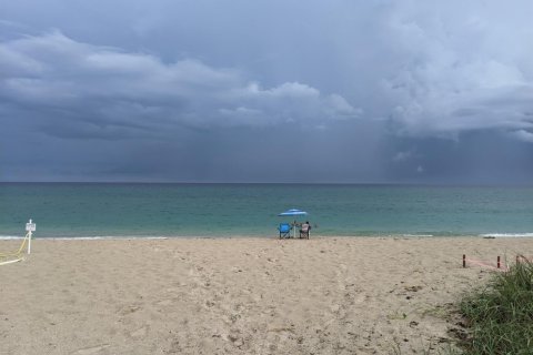 Propiedad comercial en alquiler en Palm Beach, Florida, 1 dormitorio, 67.17 m2 № 1091929 - foto 1