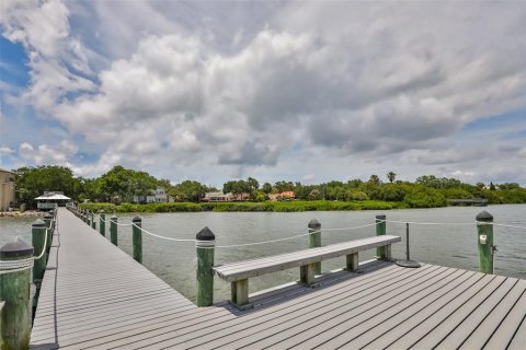 House in Tampa, Florida 4 bedrooms, 337.24 sq.m. № 1638047 - photo 3