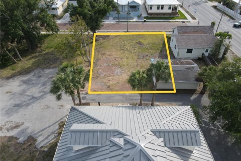Land in Punta Gorda, Florida № 1650117 - photo 9