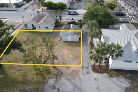 Land in Punta Gorda, Florida № 1650117 - photo 8