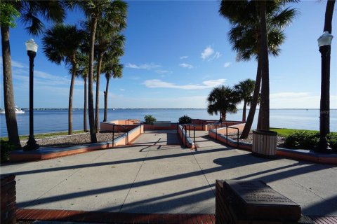 Land in Punta Gorda, Florida № 1650117 - photo 19