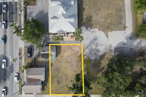 Land in Punta Gorda, Florida № 1650117 - photo 3