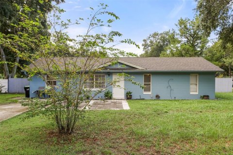 Villa ou maison à vendre à Mount Dora, Floride: 4 chambres, 120.77 m2 № 2406942 - photo 3