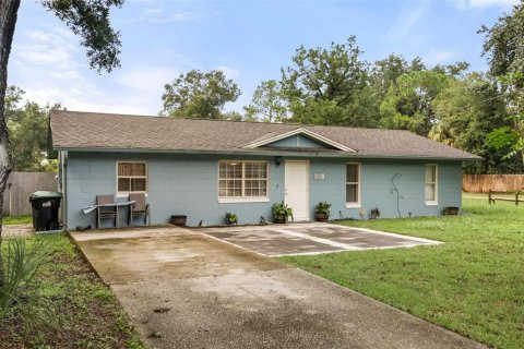 Villa ou maison à vendre à Mount Dora, Floride: 4 chambres, 120.77 m2 № 2406942 - photo 2